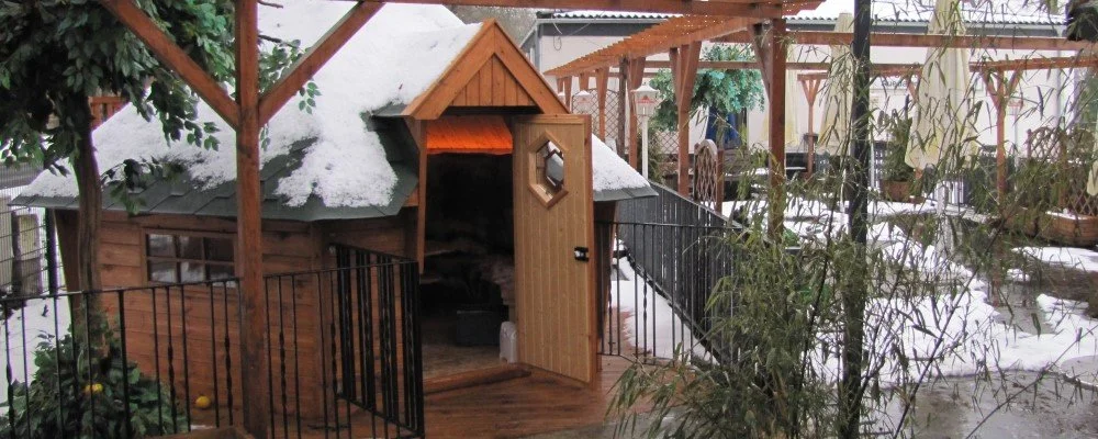 Weitere Ansicht der Grillhütte